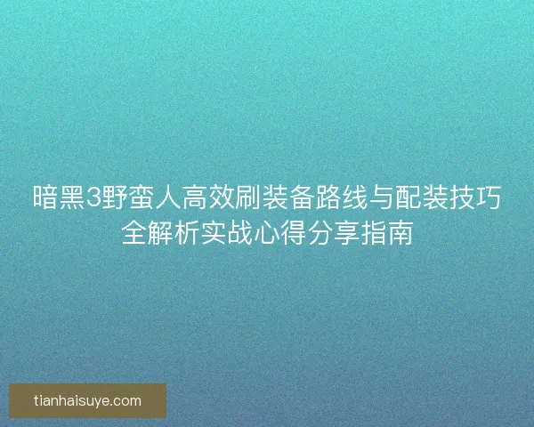 暗黑3野蛮人高效刷装备路线与配装技巧全解析实战心得分享指南